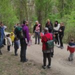 Diseño a medida de actividades de educación ambiental para todos los colectivos, edades y grupos